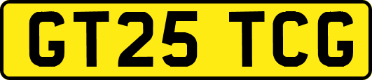 GT25TCG