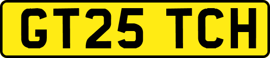 GT25TCH