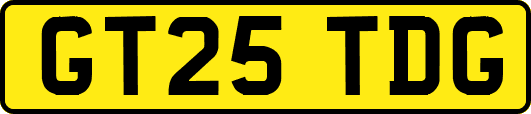 GT25TDG