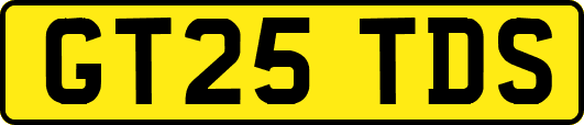 GT25TDS