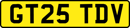 GT25TDV