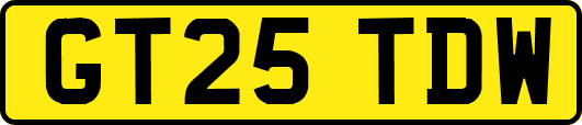 GT25TDW