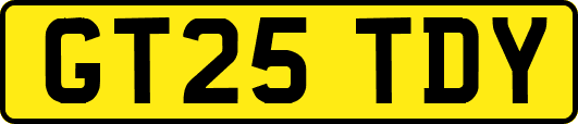 GT25TDY