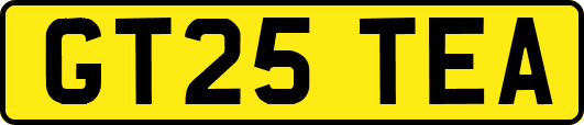 GT25TEA