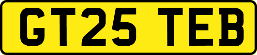 GT25TEB