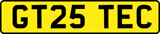GT25TEC
