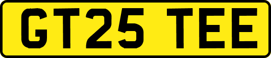 GT25TEE