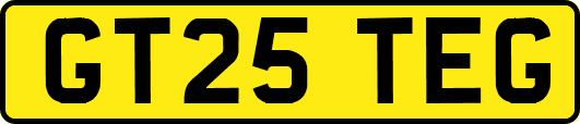 GT25TEG