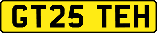 GT25TEH