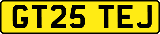 GT25TEJ