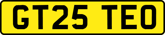 GT25TEO