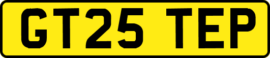 GT25TEP