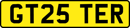 GT25TER
