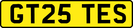 GT25TES