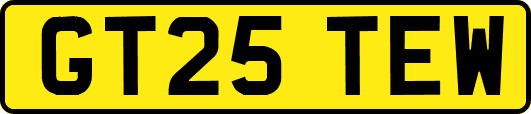 GT25TEW
