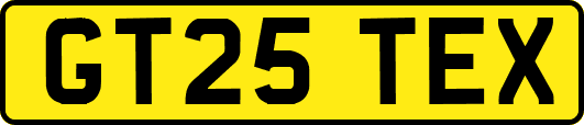 GT25TEX