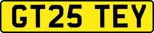 GT25TEY