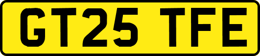 GT25TFE
