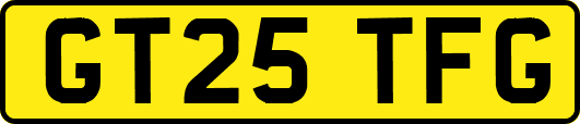 GT25TFG