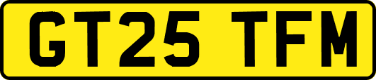 GT25TFM