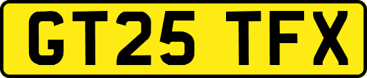 GT25TFX