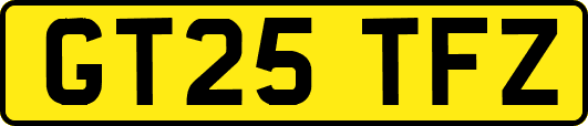 GT25TFZ