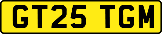 GT25TGM