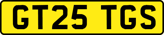 GT25TGS