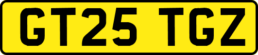 GT25TGZ