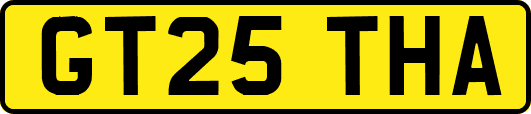GT25THA