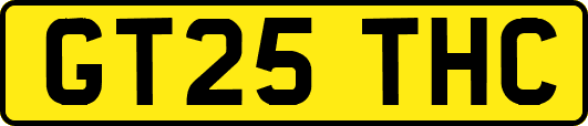 GT25THC