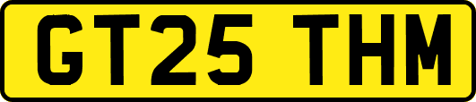 GT25THM
