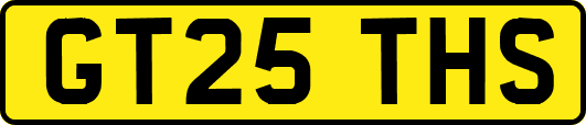 GT25THS