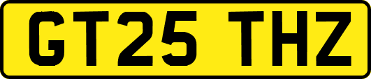 GT25THZ