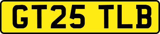 GT25TLB