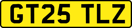 GT25TLZ