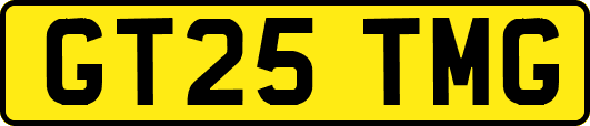 GT25TMG