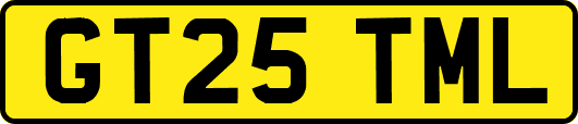 GT25TML