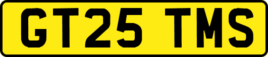 GT25TMS