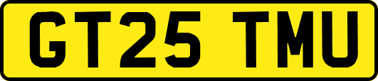 GT25TMU