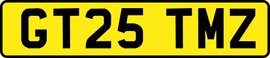 GT25TMZ