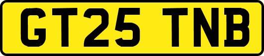 GT25TNB