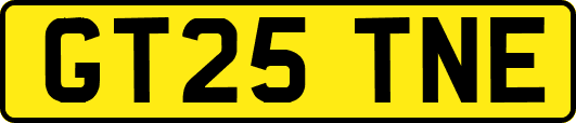 GT25TNE