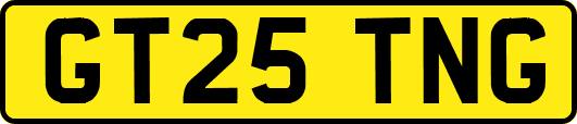 GT25TNG