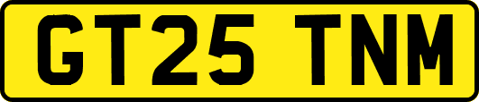 GT25TNM