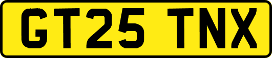 GT25TNX