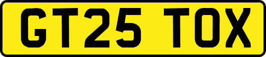 GT25TOX