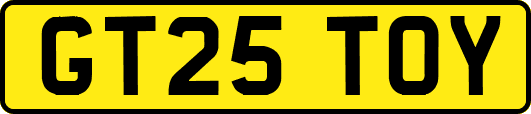GT25TOY