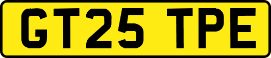 GT25TPE