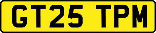 GT25TPM